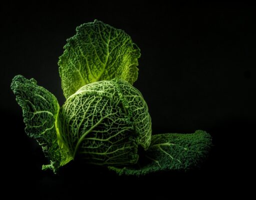 Aliments alcalinisants en keto