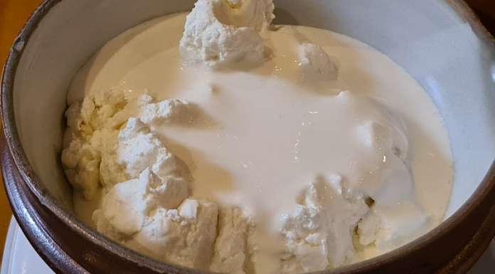 yaourt bulgare avec crème