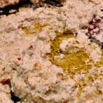 Veau orloff céto 0006