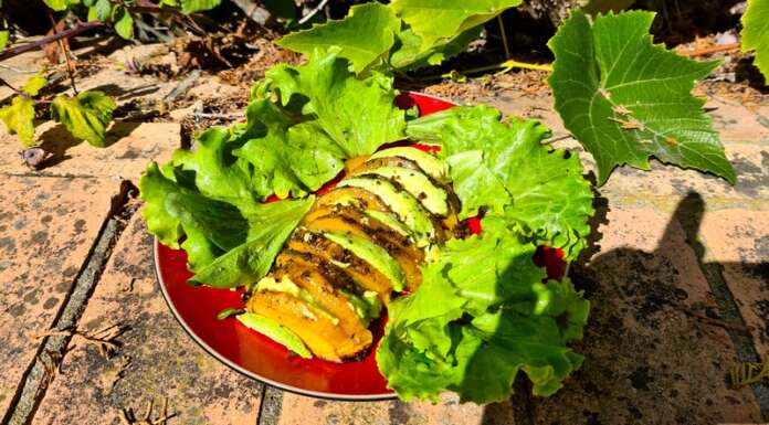 butternut et avocat