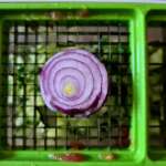 Salade de thon portugaise 0004