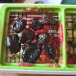 Salade de thon portugaise 0005