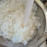 Oeufs et crevettes de Singapour 0013