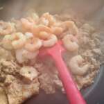 Oeufs et crevettes de Singapour 0016