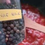 Spaghetti aux crevettes 0009