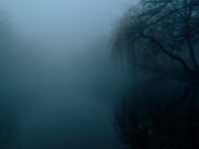 Qu’est-ce que le céto ?