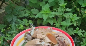 Base de batch cooking au porc