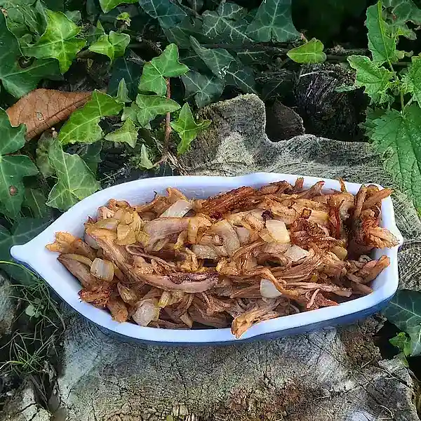 Effilochée-de-porc-à-l_asiatique-0004_1