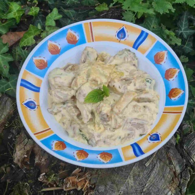 Porc-à-la-crème-de-moutarde-et-menthe(1)
