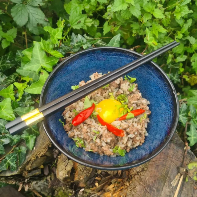 Riz-à-la-viande-H-1_8