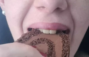 Roulé tout chocolat sans sucre