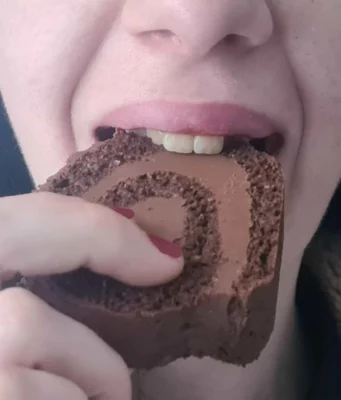 Roulé tout chocolat sans sucre