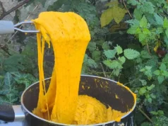 Aligot cétogène au potimarron