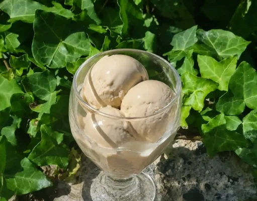 Glace au café hyperprotéinée sans sucre